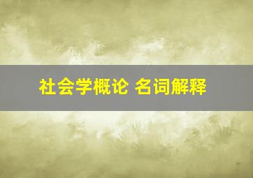 社会学概论 名词解释